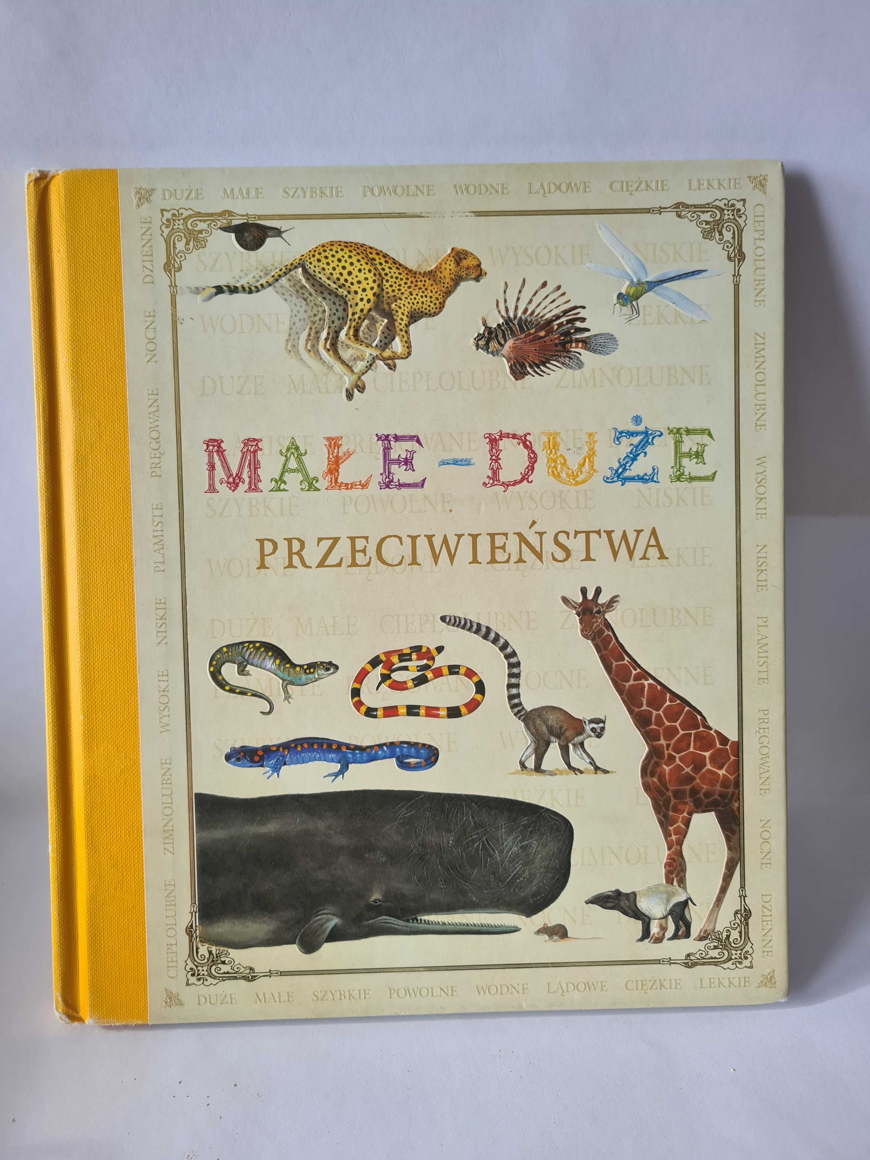 Małe duże przeciwieństwa