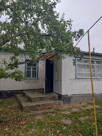 Продається будинок в селі Соколівка Жашківського району Черкаської обл