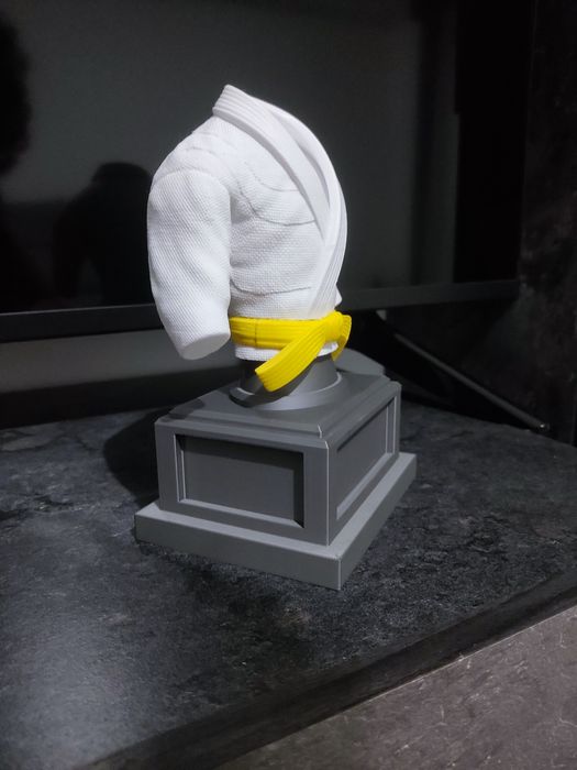 Estatueta tipo busto - Judo/Jiujitsu