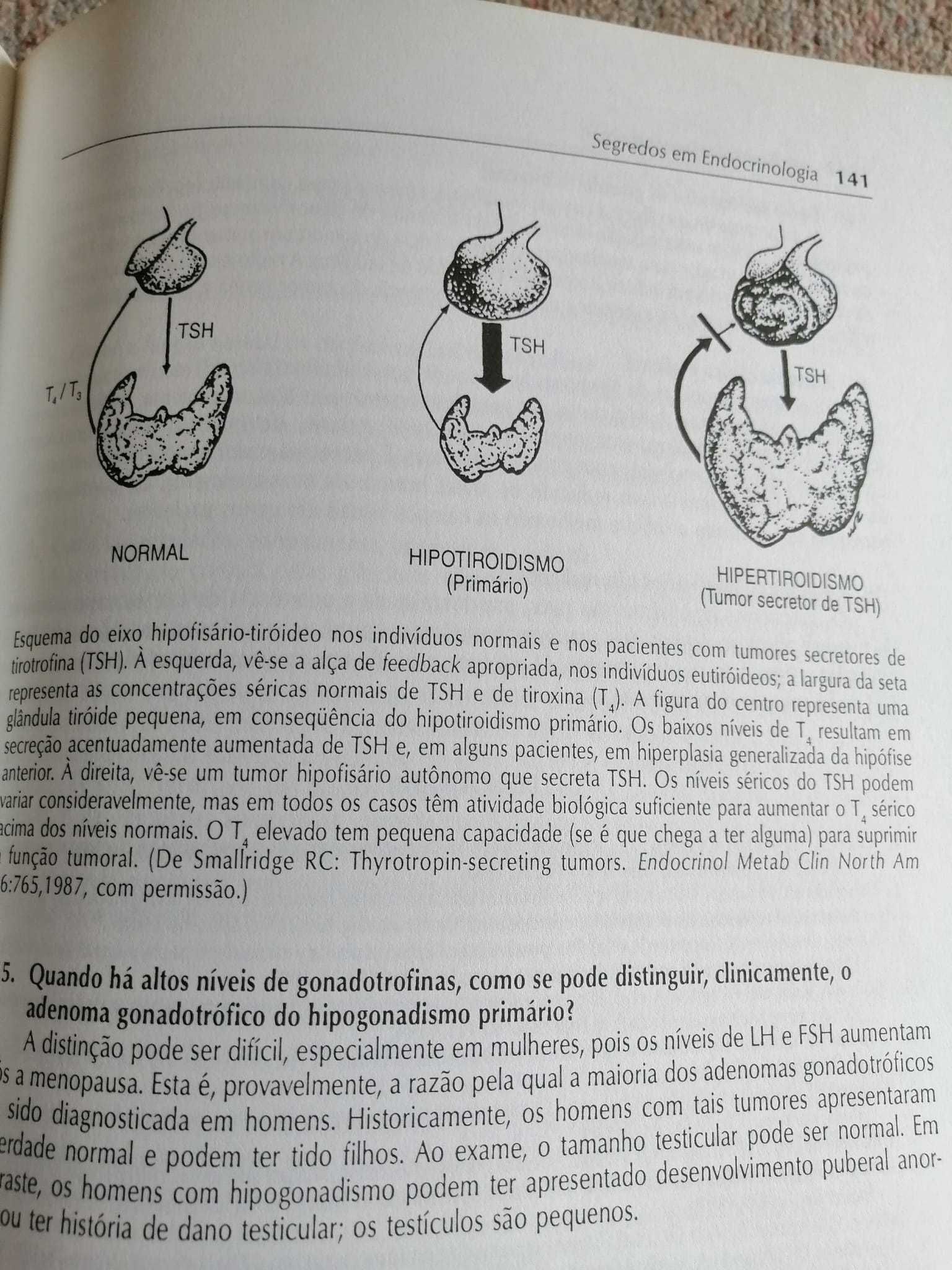 Livro Segredos em Endocrinologia, Michael T. McDermott, ed Art Medicas