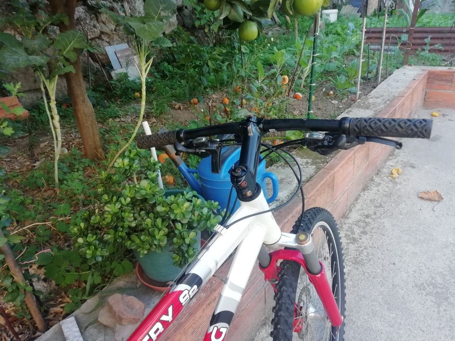 Bicicleta Berg disco