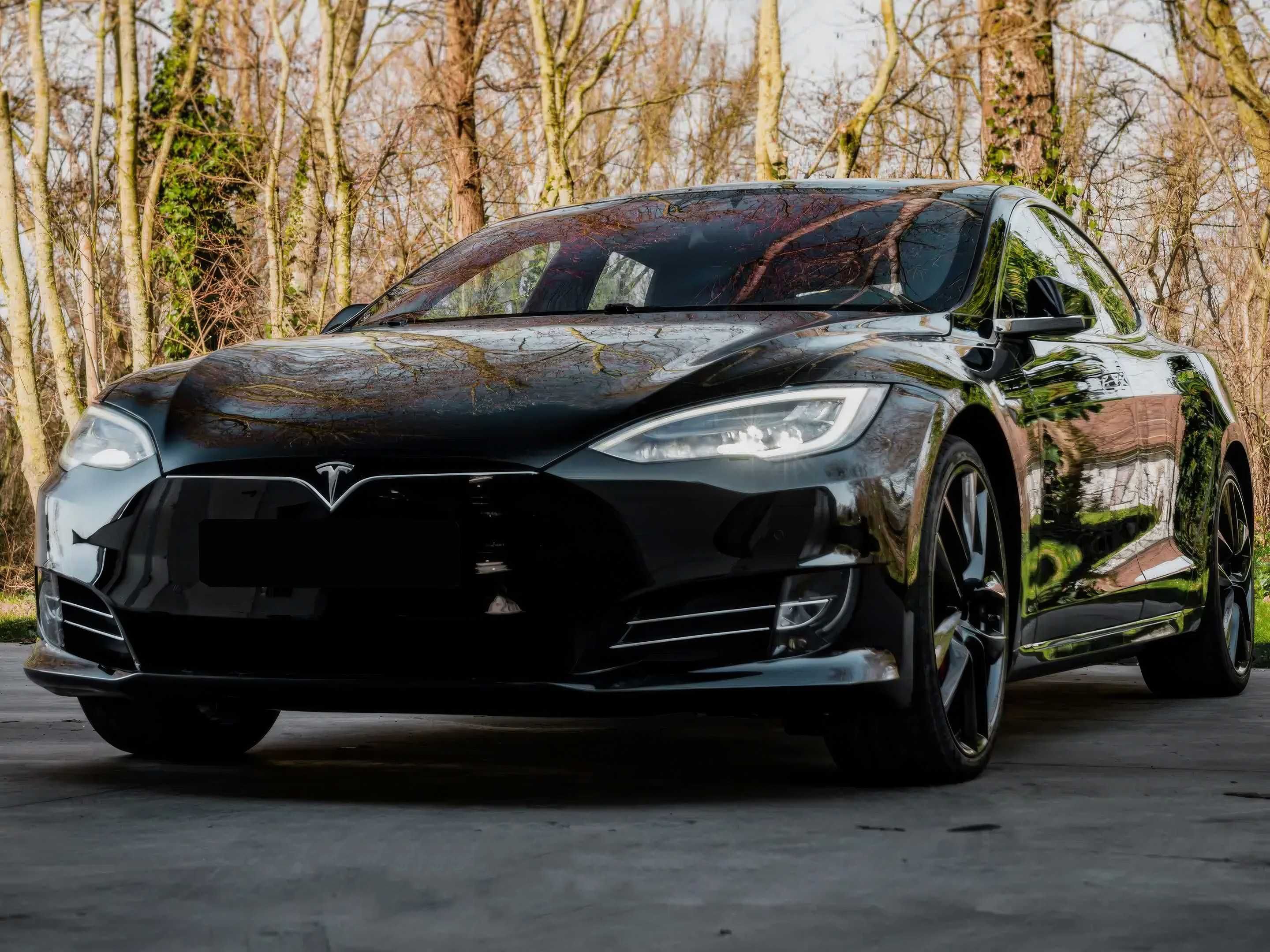 2019 Tesla Model S P100D Performance