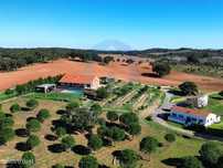 Monte do Bandarro Novo - Alentejo