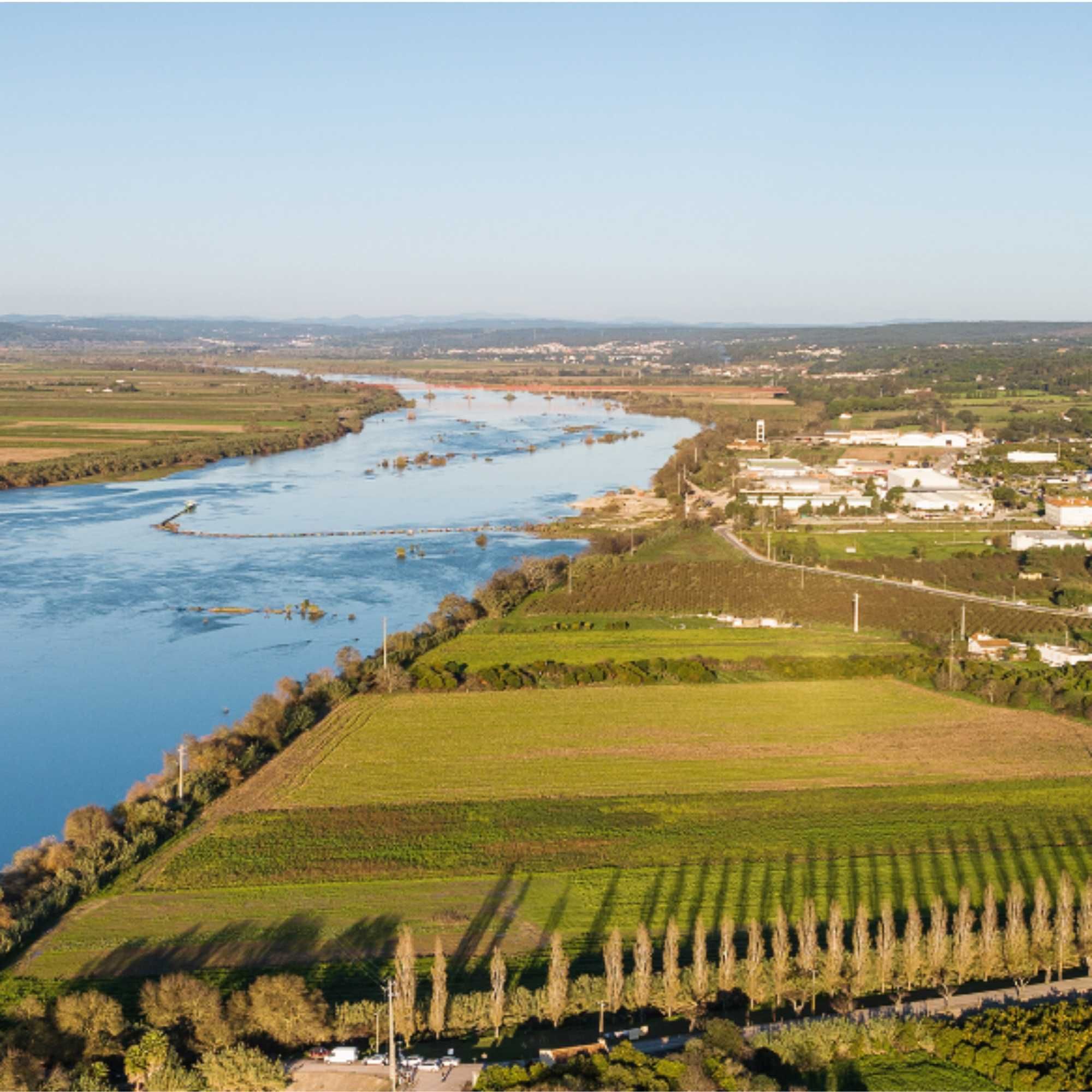 Terreno Urbano à Venda na Chamusca – 350m² em Zona Tranquila