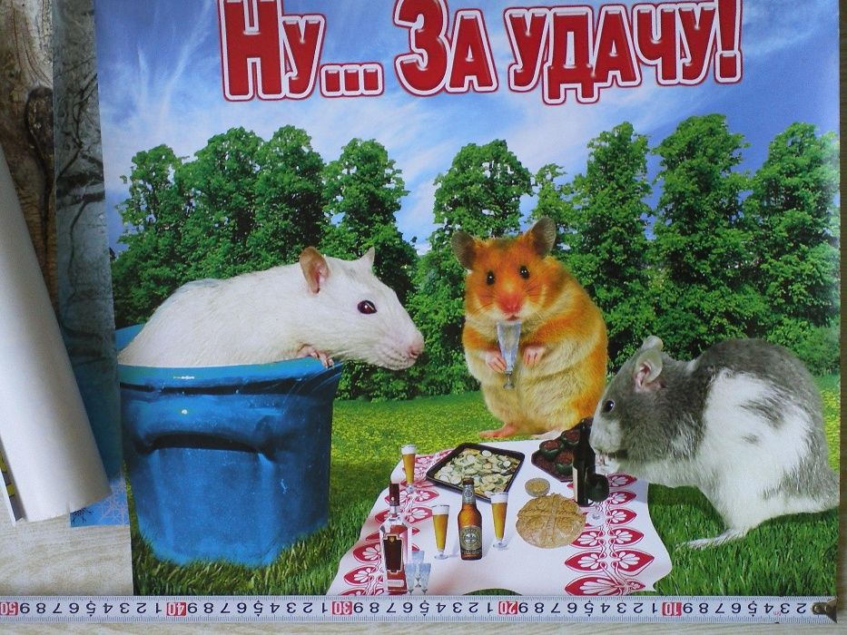 Плакат постер:горилла,хомячек,котенок.Хаяо Миядзаки-Навсикая.аниме