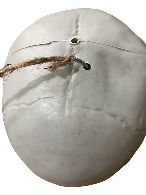 Большой человеческий скелет. Кости. Череп. Декор. Реквизит. Косплей