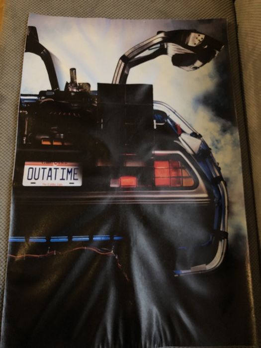 Plakat obraz na płótnie roz..60x90cmz filmu Powrót do Przyszłości
