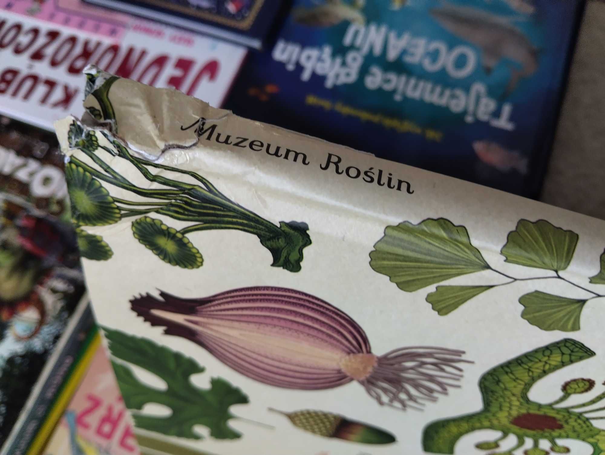 Ulica Czereśniowa, Botanicum, Dinozaury, zestaw ksiazek