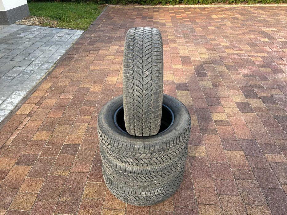 Opony wielosezonowe Dębica Nawigator 2 195/65 R15