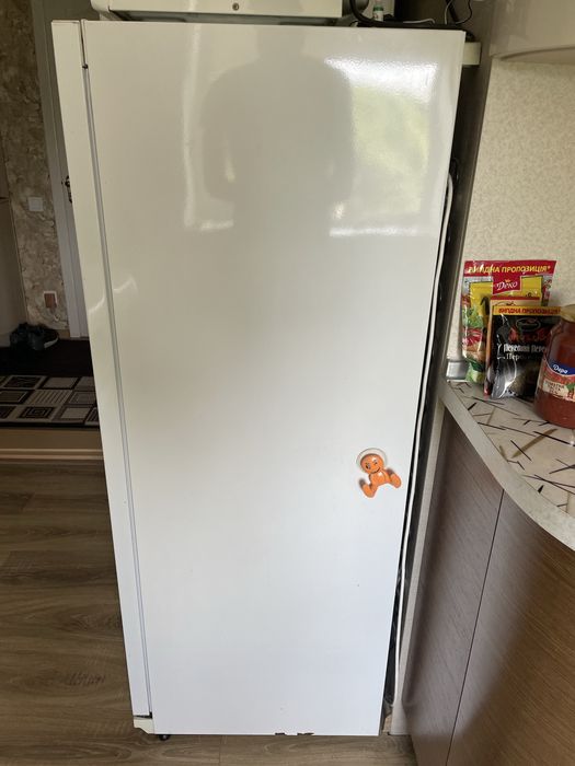 Морозильна камера SNAIGE Ice logic