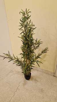 Planta Bambu 70 cm