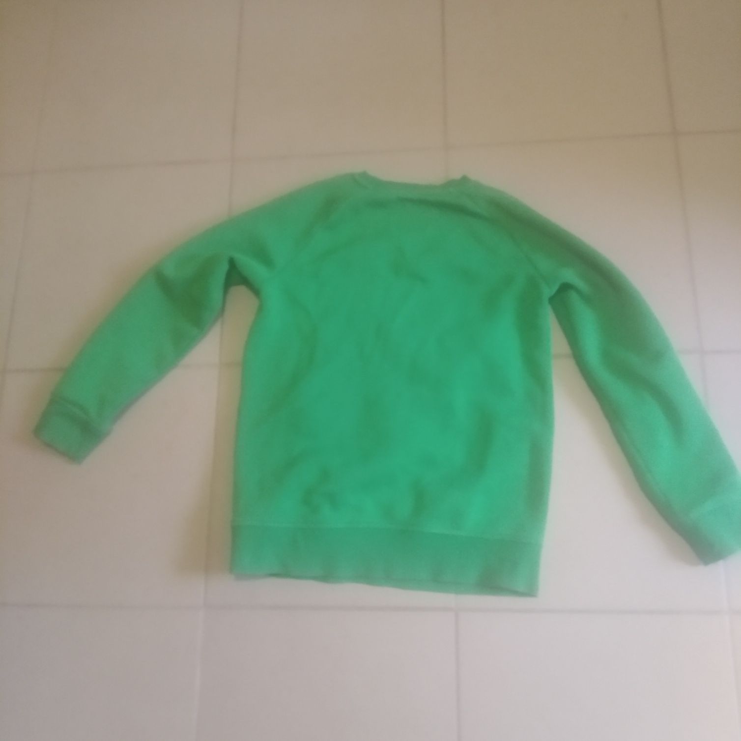 Bluza chłopięca z dinozaurem na 140 cm C&A