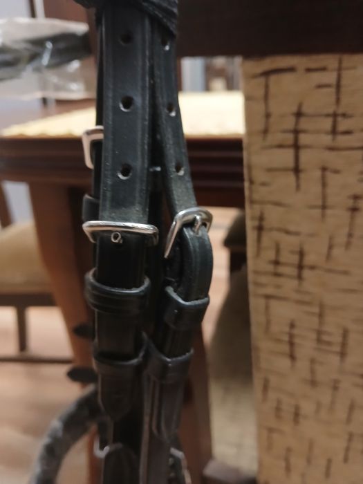 Tranzelka ogłowie jeżdzieckie