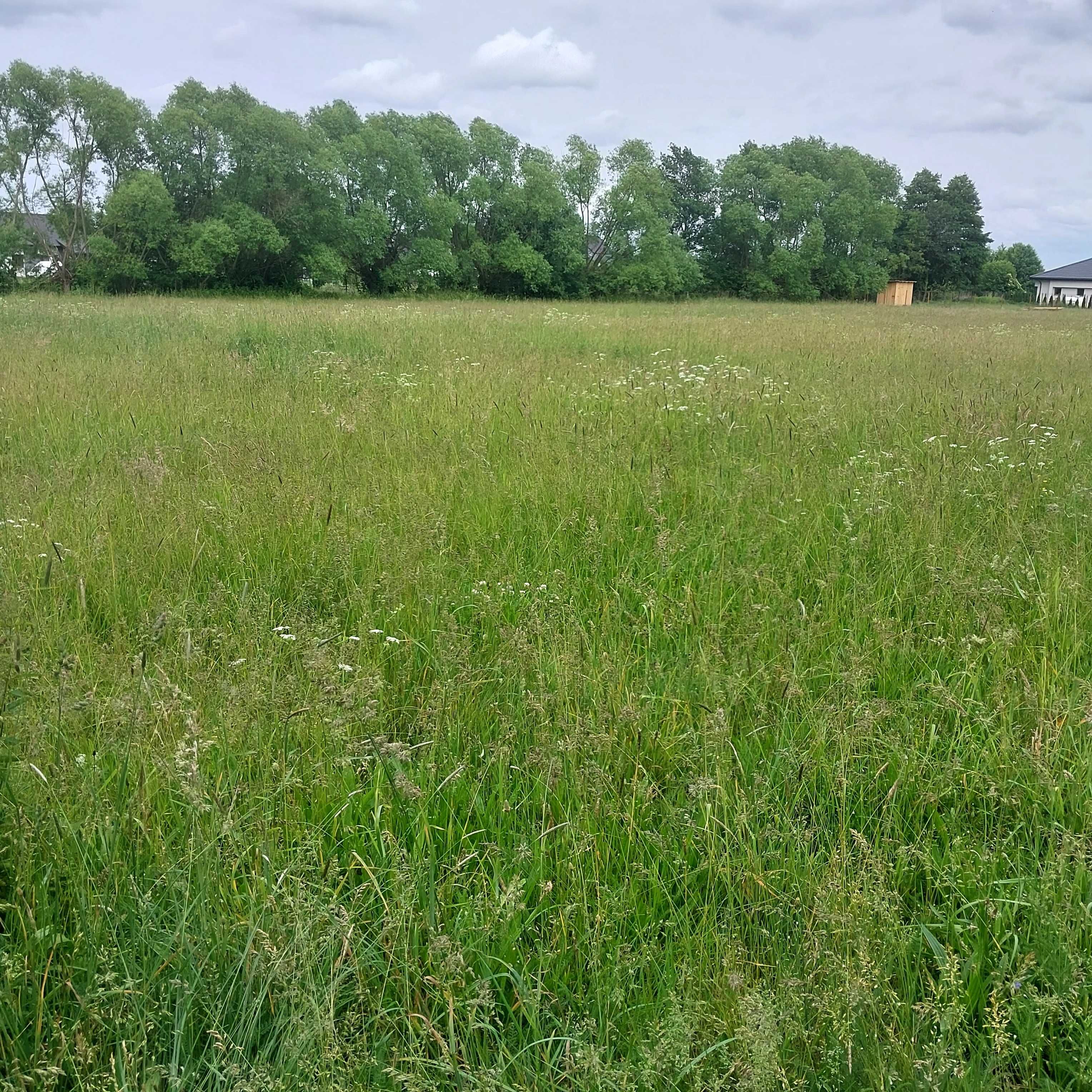 Sprzedam działki w Łącku
