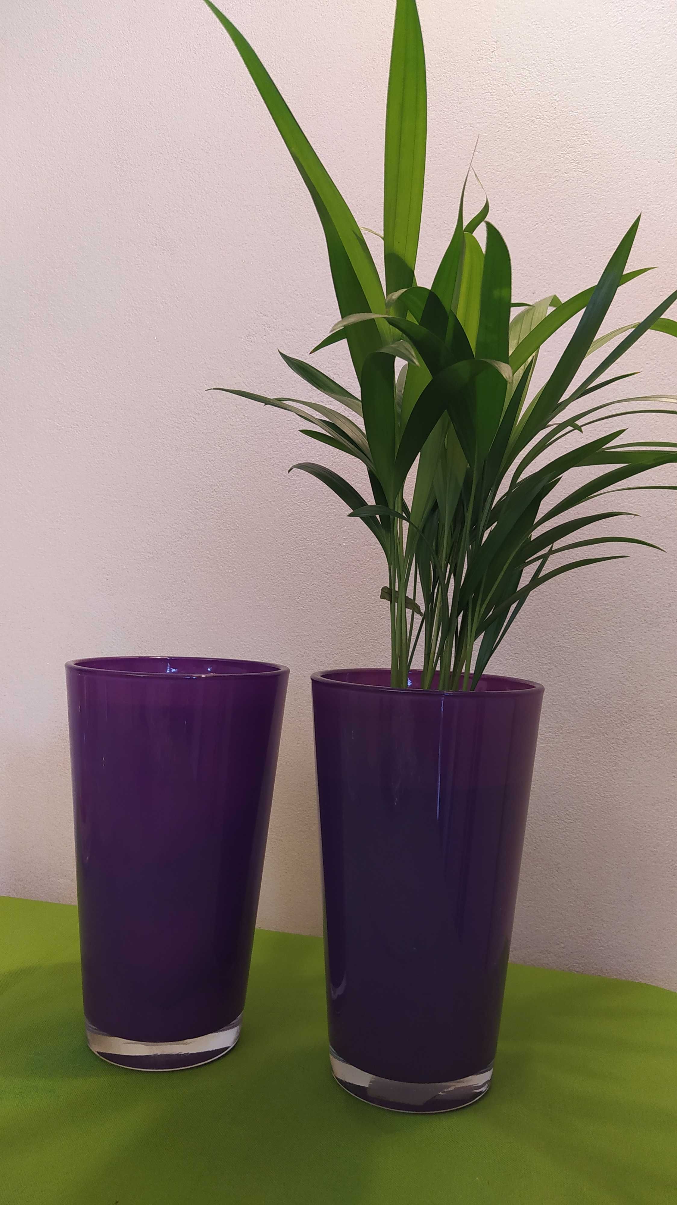 2 szklane osłonki na orchidee