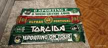Conjunto de cáscois Sporting