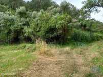 Terreno em Santo Isidoro de 4000,00 m2
