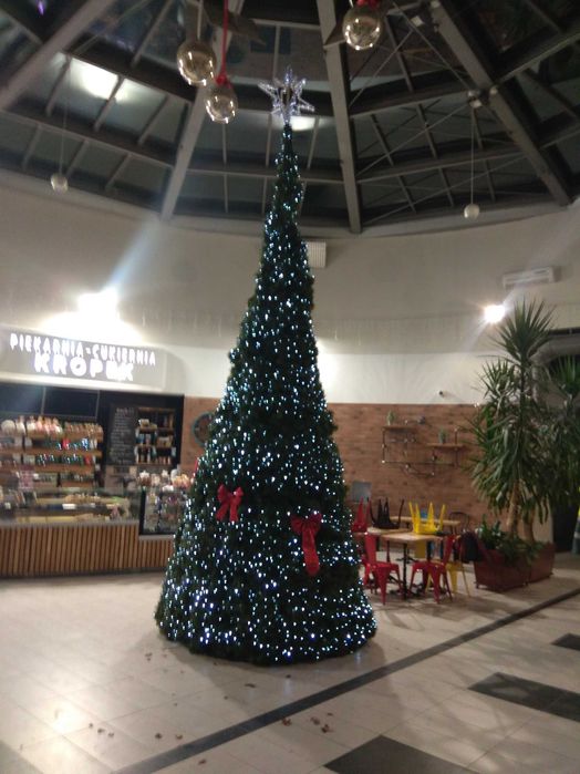 Sztuczna choinka gigant 625 cm z lampkami
