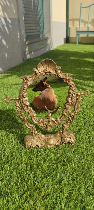 Espelho vintage antiguidade