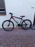 Rower Kross Hexagon 1.0 M