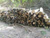 Drewno kominkowe i opałowe (Dąb)