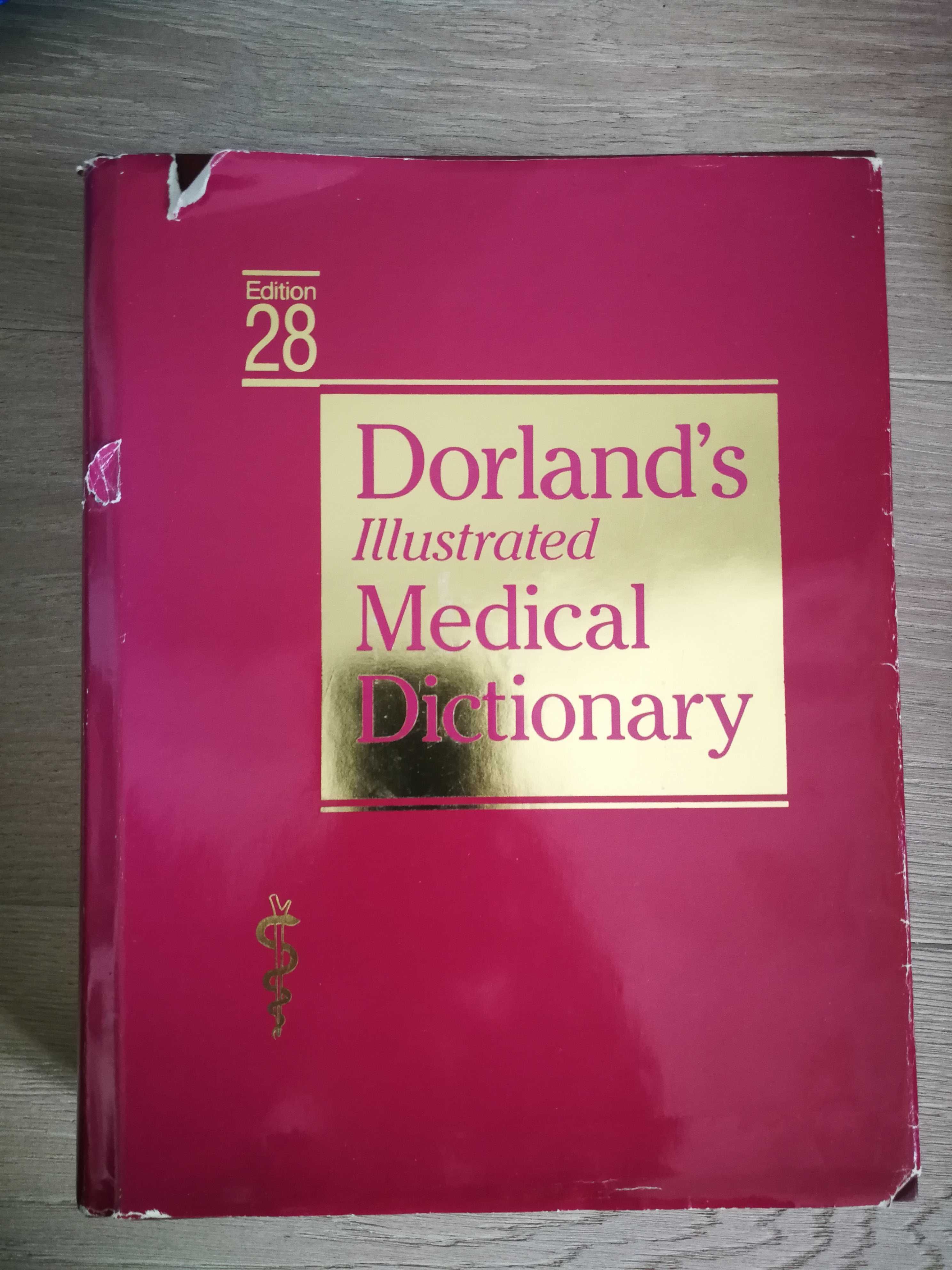 Dorland's Illustrated Medical Dictionary słownik medyczny