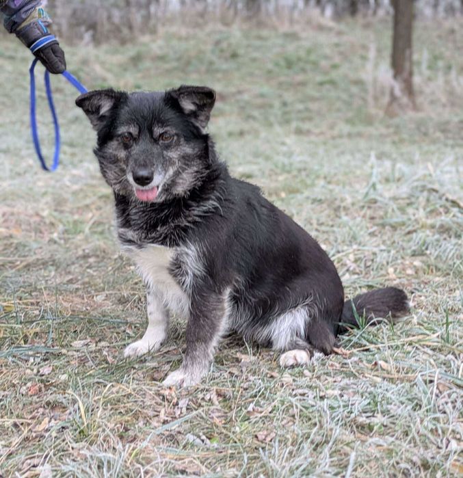 Manga- może los się do niej uśmiechnie