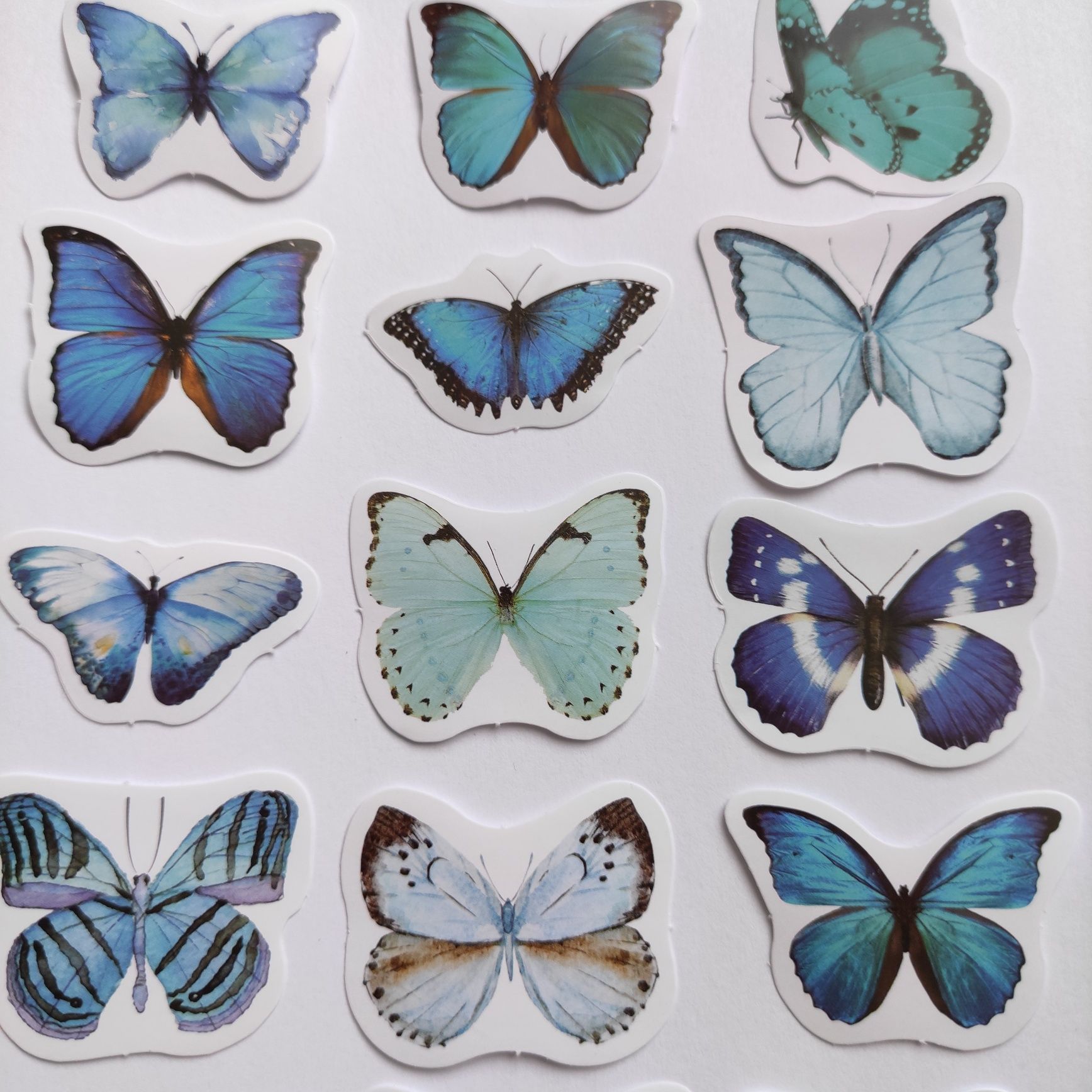 15 наклеек бабочки, наліпки метелики, блакитні метелики, набір