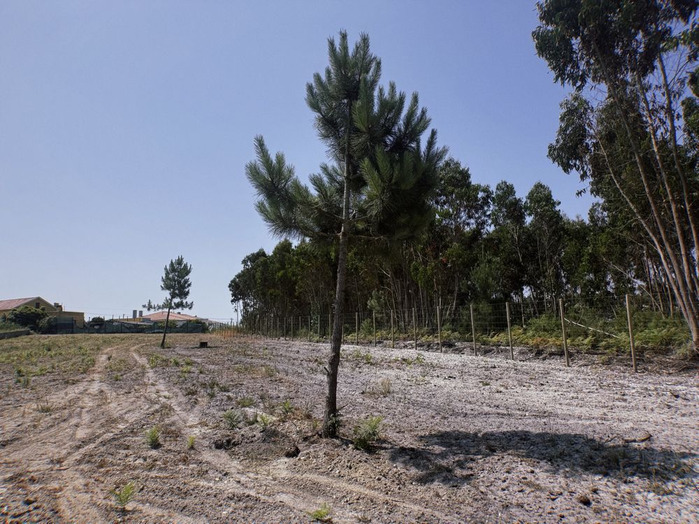 TERRENO para construção com PROJETO APROVADO - A 5min de SANTA CRUZ