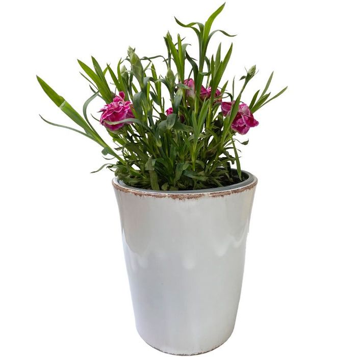 Wysoka ceramiczna doniczka