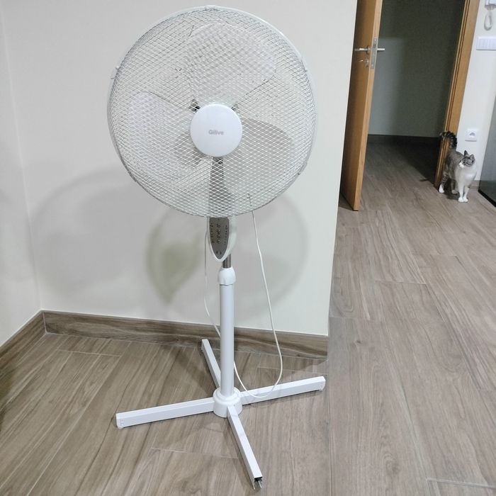 Recheio de Casa móveis em geral