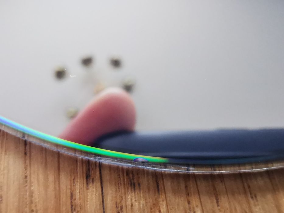 FC24 PS5 (Fifa 2025)