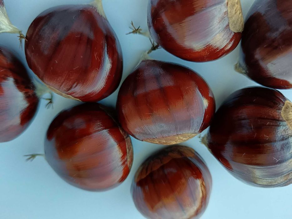 Castanhas de boa qualidade, são as da imagem