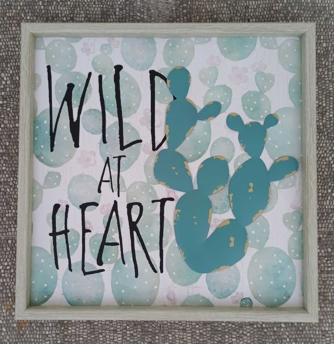 Conjunto de 2 quadros com catos
