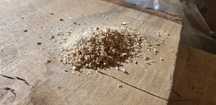 Trociny suche sprzedam
