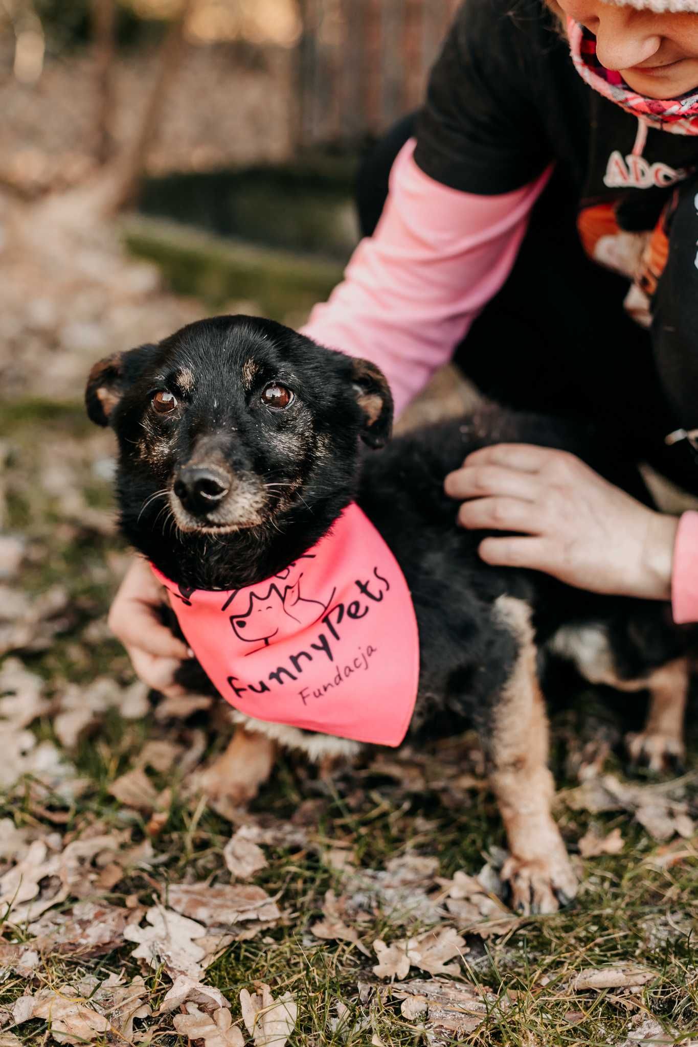 Bardzo delikatny Lupi poleca się do adopcji!!!