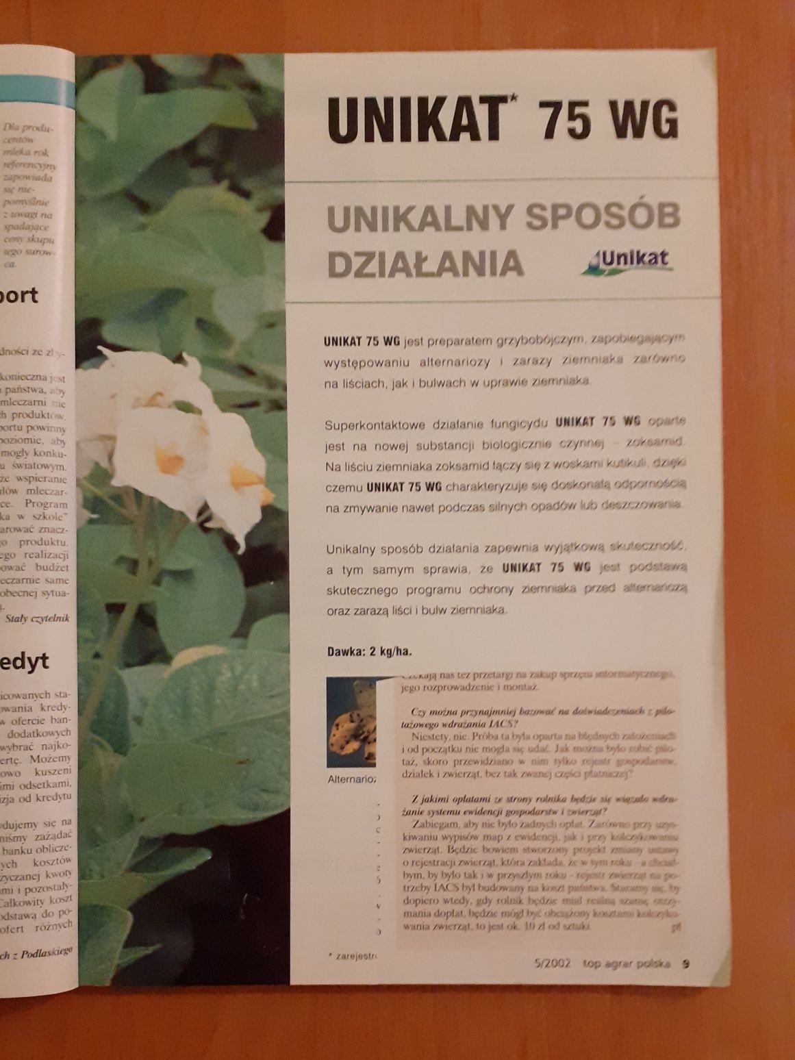 Top Agrar Polska 5/2002