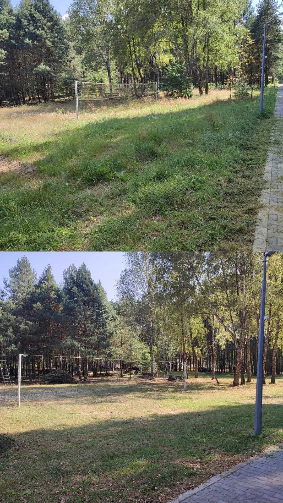 Koszenie trawy, pielęgnacja ogrodu i działek – profesjonalna pomoc!