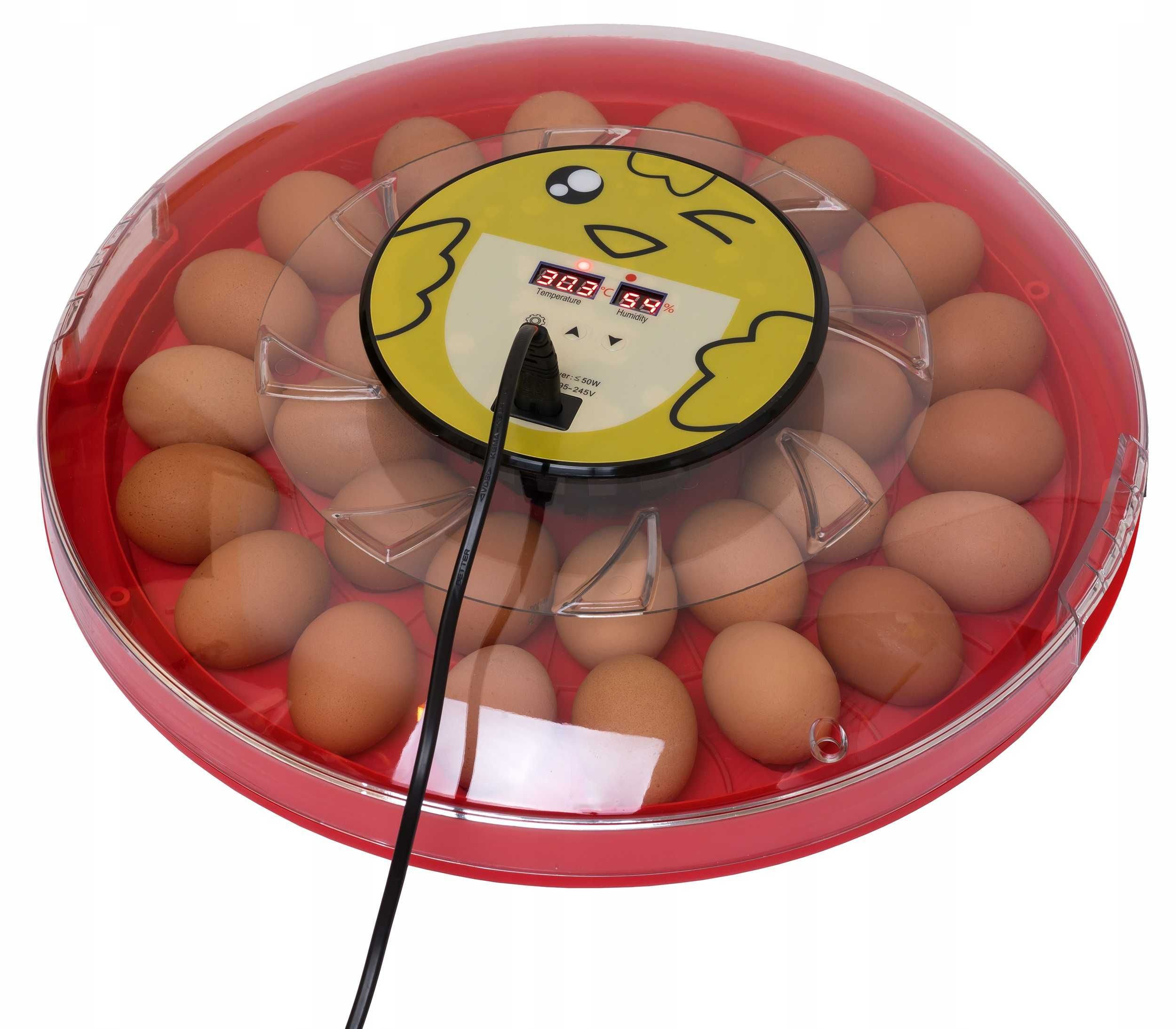 Inkubator na 30 jaj klujnik