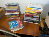 Lote de livros em bom estado