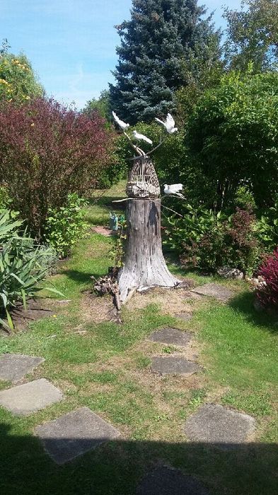 Pilnie sprzedam ogródek działkowy ROD RAJ