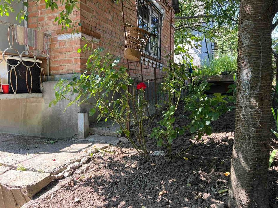 (5)   Продам дачу в с. Щітки  8116