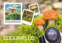 znaczki pocztowe czyste - Mozambik 2014 cena 4,90 zł kat.8€ - grzyby
