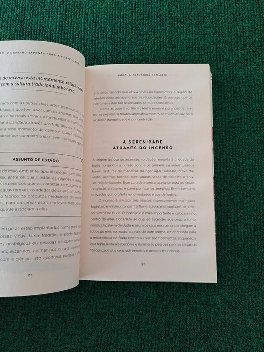 Dó - O Caminho Japonês para a Felicidade - Junko Takahashi