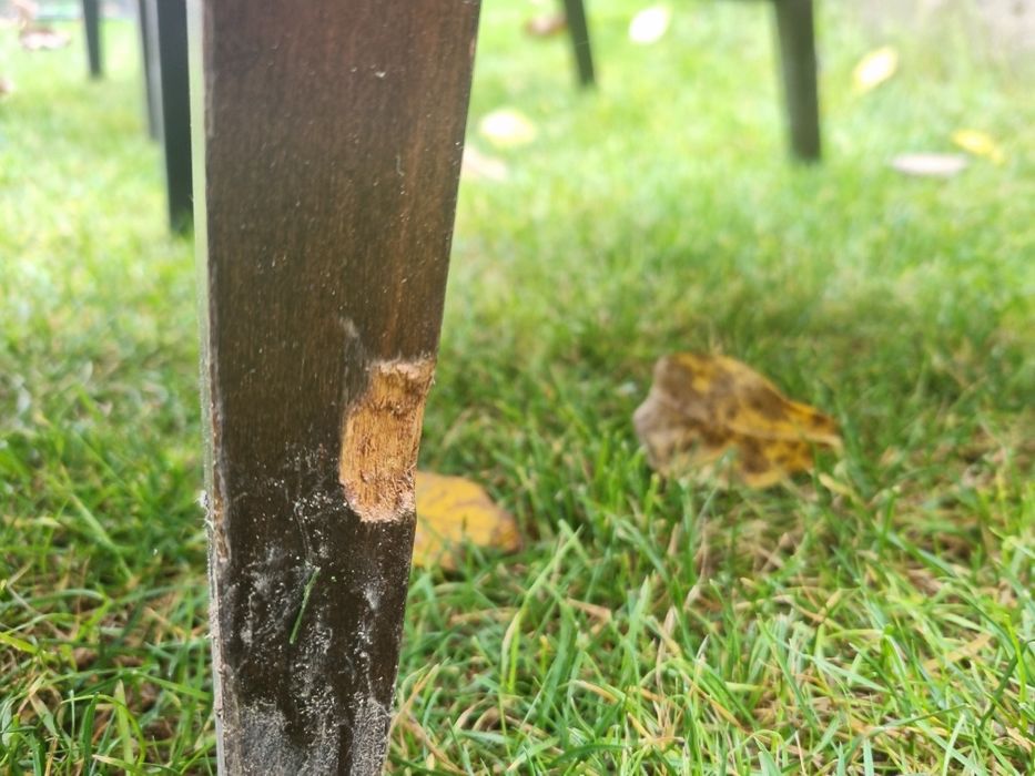 Fotel lisek x 2 do renowacji