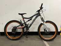 Santa cruz heckler L