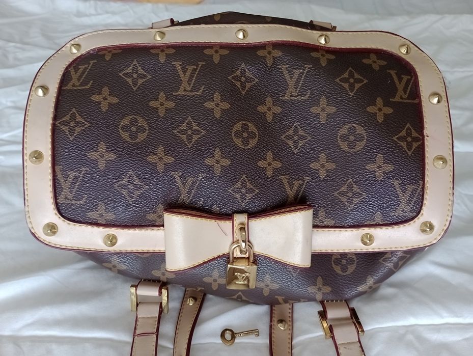 Mala bolsa Louis Vuitton