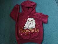 Bluza 110 Harry Potter śliwkowa