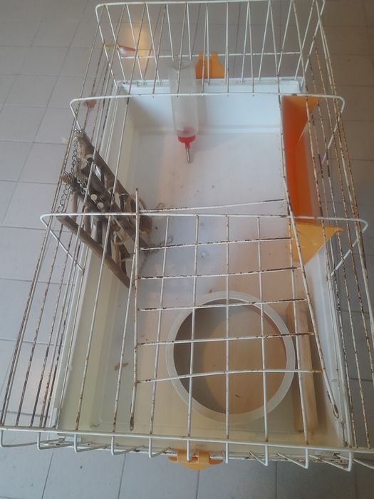 Gaiola para coelho de estimação.