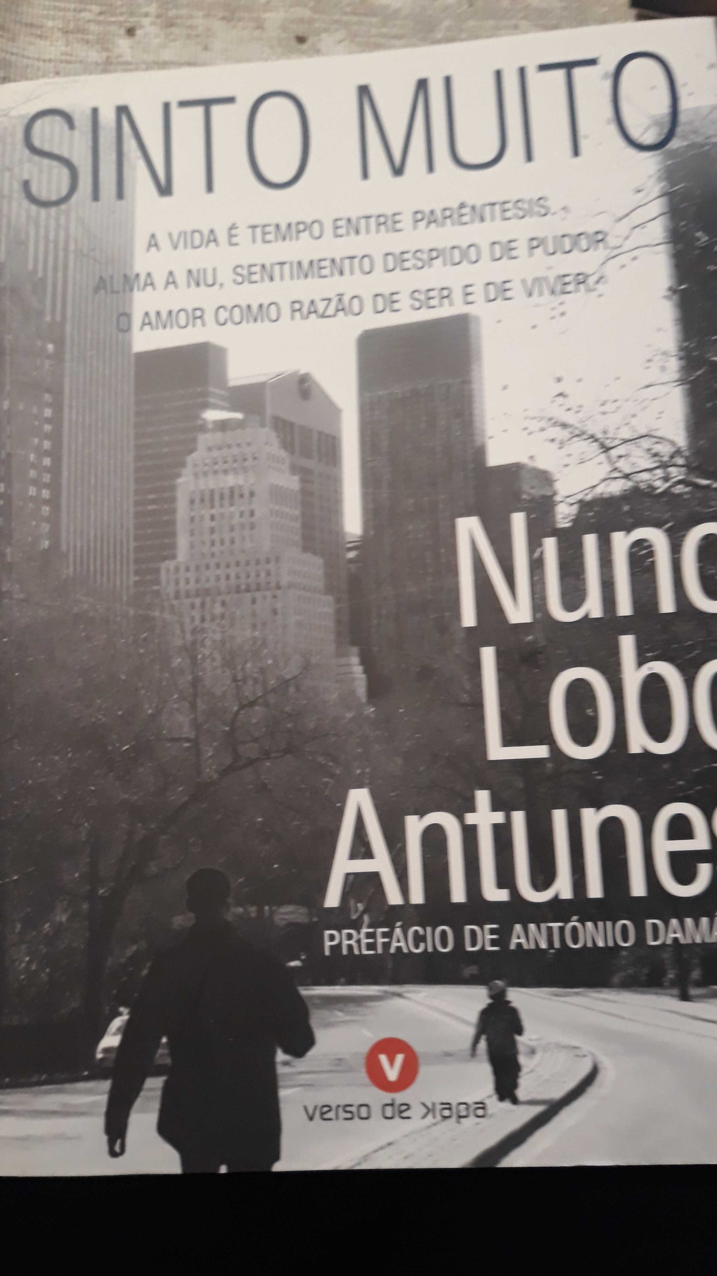 Livro ' Sinto Muito', Nuno Lobo Antunes